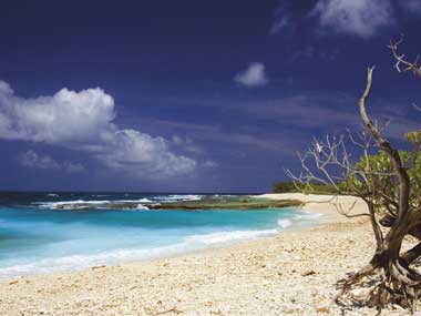 Pulu Keeling National Park - Living Wonders